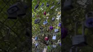 Locks for Love #love #lovelocks #tumwaterfalls #washington