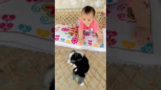 🐕 founy dog vs baby 🐕🐕🐕🐕🐕🐶🐶🐶🐕🐕🐕