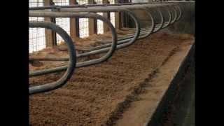 Sandman bedding groomer provides cow comfort and lowers SCC