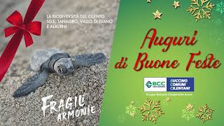 Auguri di Buone Feste