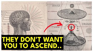 How to Know if You're Ascending to The 5th Dimension | 7 Signs You’re Shifting