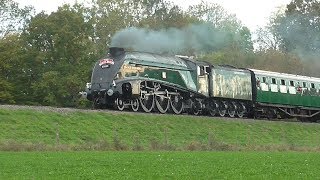 60009 'Union of South Africa' at Bluebell Line on 13th October 2018