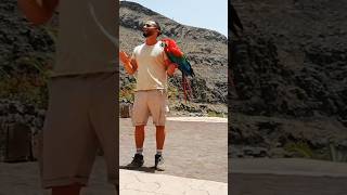 Gran Canaria palmitos park #shortvideo  #parrot #bio #bioparque