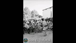 Son de arpa y violín- El Cafetal