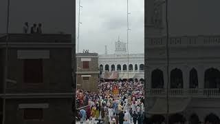 Palki on Besakhi festival at Punja Sahib Hassanabdal #sikh #viral #Besakhi #PunjaSahib #Pakistan