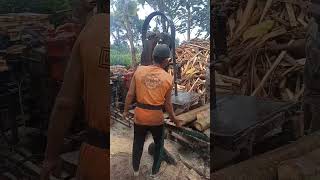 penggergajian kayu randu,bagai mengiris tahu#sorts #viral #kayu @jtmkayuofficial3403