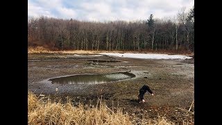 Trekking Through A Drained Pond In Search For Lures