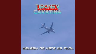 Watashi no kare wa pilot