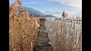 Tegernsee: Herbststimmung bei Kaltenbrunn