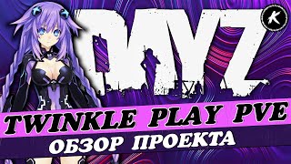 ОБЗОР ПРОЕКТА TWINKLE PLAY PVE #3 #dayz