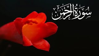 Surah Rehman | beautiful recitation |#warisulquran #tilawatquran #surahrehman