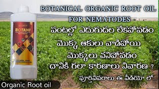 Botani organic  Root oil || మీ పంటల్లో మొక్కలు ఎండిపోయి ఆకులు రాలిపోవడం మొక్క చనిపోవడం జరుగుతుందా.