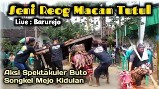 Aksi Spektakuler Buto Songkel Mejo Kidulan di Seni Reog Macan Tutul live Barurejo Siliragung