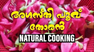 Agasthi Poovu Thoran | അഗസ്തി പൂവ് തോരൻ | Agasthyapoovu Recipe