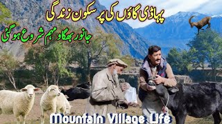 Mountain Village Life | Gilgit Baltistan village life