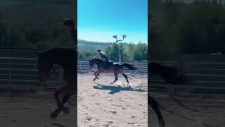 Can you Jump your Horse in Cavallo Hoof Boots?