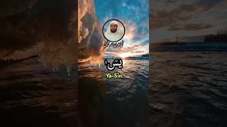 QURAN RECITATION SURAH AL YASEEN RECITER SHAIKH KHALID JALEEL | قراءة قرآن سورة ياسين