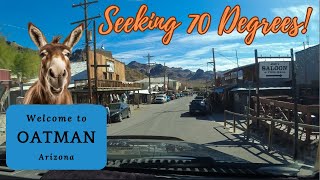 Walking Through Oatman, Arizona: A Route 66 Adventure