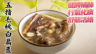 【五指毛桃白扁豆排骨湯】健脾補肺, 行氣化痰, 舒筋活絡的食療 [廣東話 cc Eng Sub]