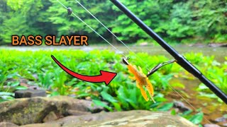 MICRO Crayfish Lure Takes Over!