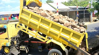 Mobil Dump Truk Pasir Bongkar Muatan Batu Kali Bikin Macet Jalan