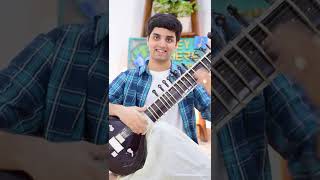 Happy Birthday, @MartinGarrix ! - Animals - Martin Garrix - Sitar Cover