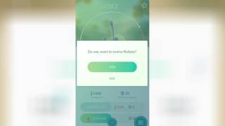 Pokémon go Rattata to Raticate