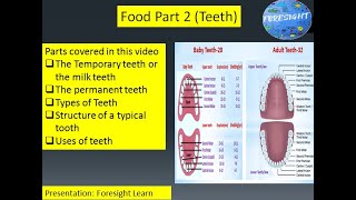 Food 2 Teeth|The Real Story Behind teeth|Incredible Unknown Facts About teeth|What are teeth made of