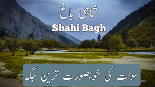 Shahi Bagh Best Place in Swat | Most Beautiful Valley in Swat | Travel Pakistan | Travel Vlog |