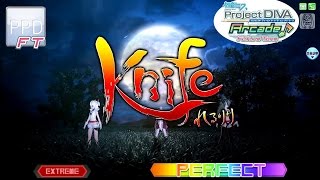 【PPD FT】Knife【EXTREME】PERFECT | Arcade version