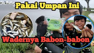 Wader Babon || Mancing Wader Pari / Wader Lunjar Pakai Umpan Roti