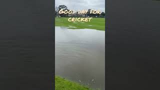 Bat or bowl?        #grass #rain #sports #cricket #youtubeshorts