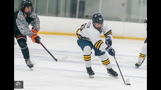 Ben Austin #93 Goals and Highlights Hudl 2021-2022 U15 Burlington Eagles AAA Elite