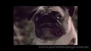 Centrum.cz - Comercial de TV - Propaganda com Pug