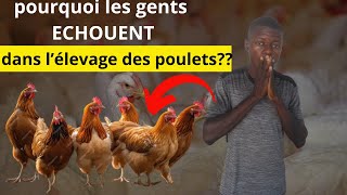 pourquoi beaucoup de personnes échouent dans l'élevage des poules ?