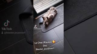 LE CHAT (RAVIOLI) DES #blasterjouannerf #chat  #humour