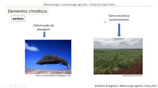 Elementos climáticos - Vento