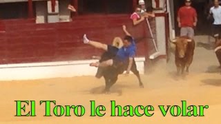 ✈ El Toro le hace VOLAR. EnCiErRo de TOROS BRAVOS