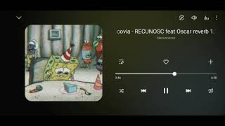 Bvcovia - Recunosc slowed + reverb at 1.1 speed