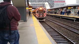 Shoreline East train to Old Saybrook departing Stamford with P40 833 "Patches"