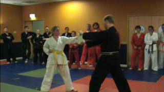 Keibudo Karate Breaking demo part 2