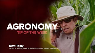 Agronomy Tip of the Week - Backup Plan for Herbicide Carryover