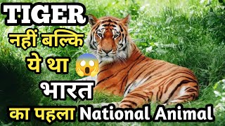 Tiger is not national animal of India #shorts #ytshorts #Daily_Gyan