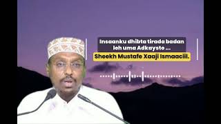 Haddii ay Murugi ku haysato dhageyso clipkaan | #sheekhmustafexaajiismaaciil.🎵🎧🎙🥰