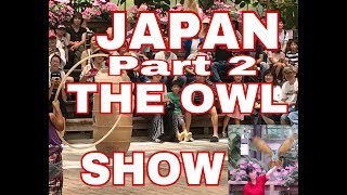 Japan Owl Show Part II