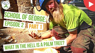 School of George - Episode 2.1: The Date Palm Mystery - Shanes Trees