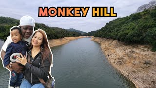 Monkey Hill - Kam Shan Country Park  || Tempat BBQ bersama banyak monyet