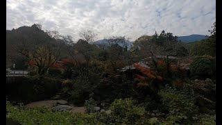 Autumn Colors by bicycle in Fukuoka Prefecture, November 2022