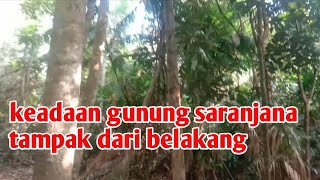 SEKILAS SUASANA HUTAN GUNUNG SARANJANA BAGIAN BELAKANG