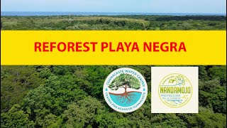 Reforest Playa Negra